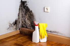 Best Mold Removal for HVAC Installations in Lucas, TX